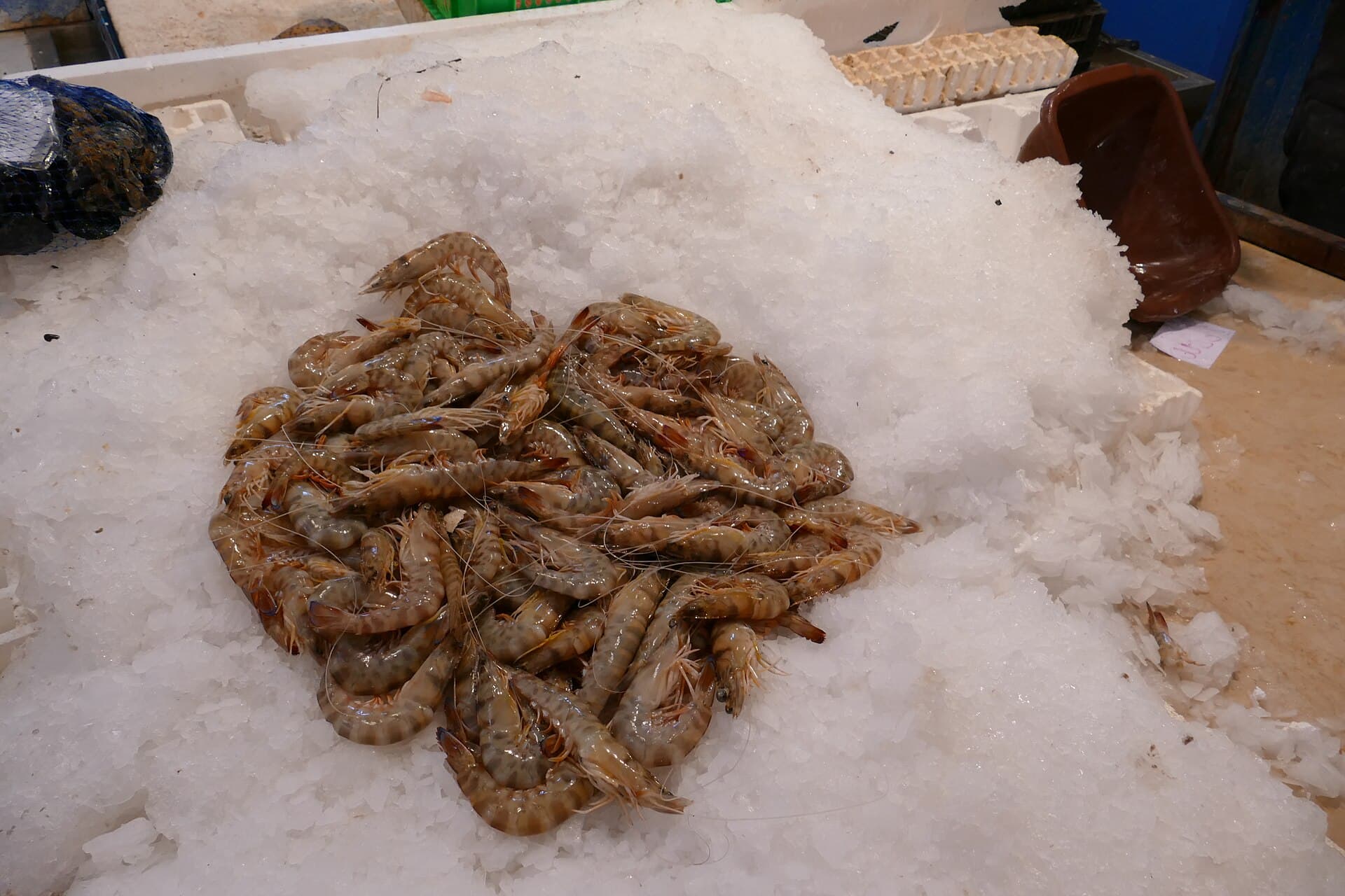 Crevettes royales sur lit de glace pilée au marché aux poissons