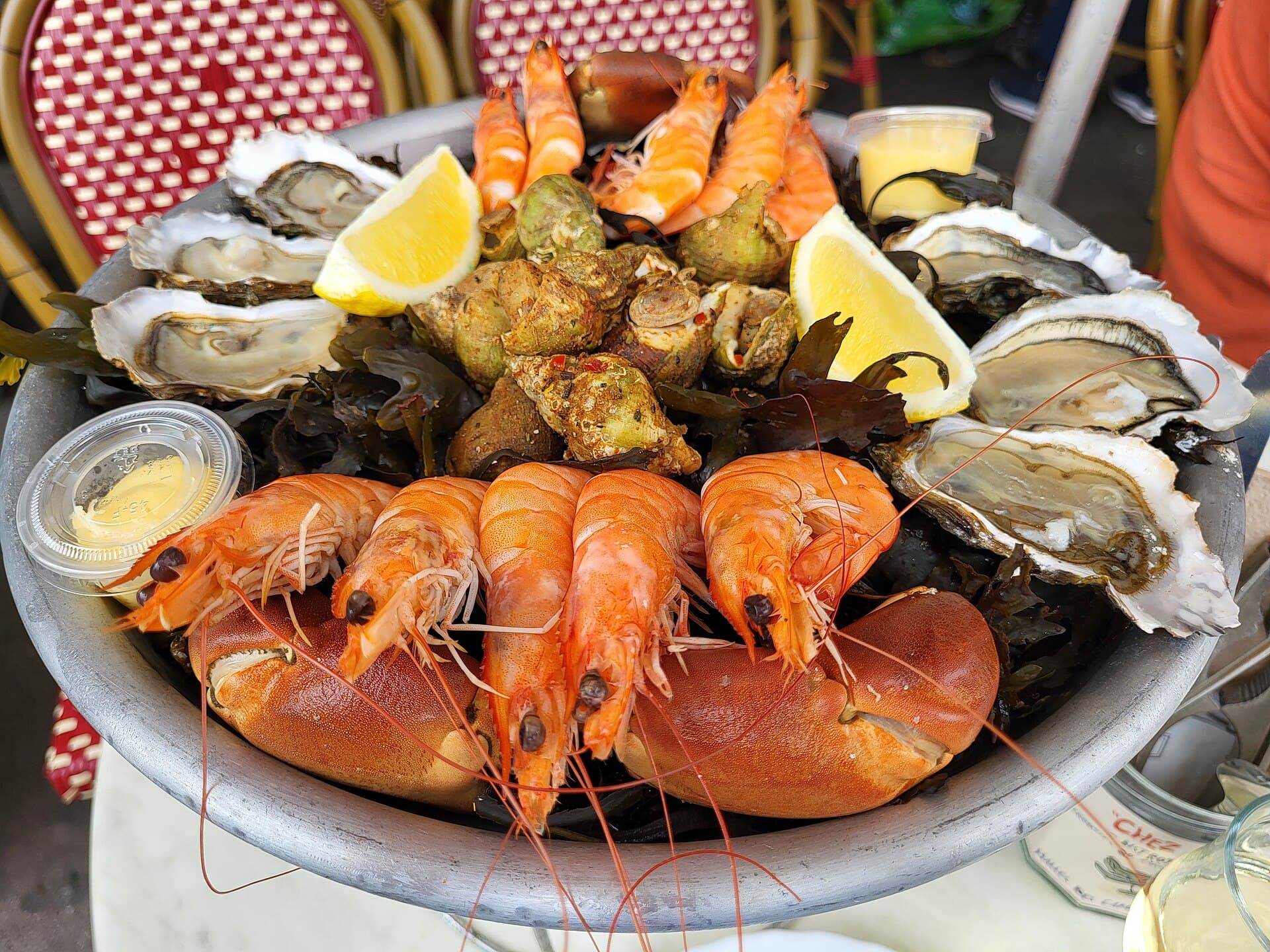 Grand plateau de langoustines, gambas, huîtres et bulots sur algues